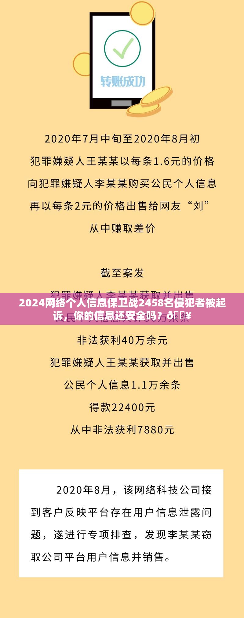 2024起诉网络侵犯个人信息犯罪2458人