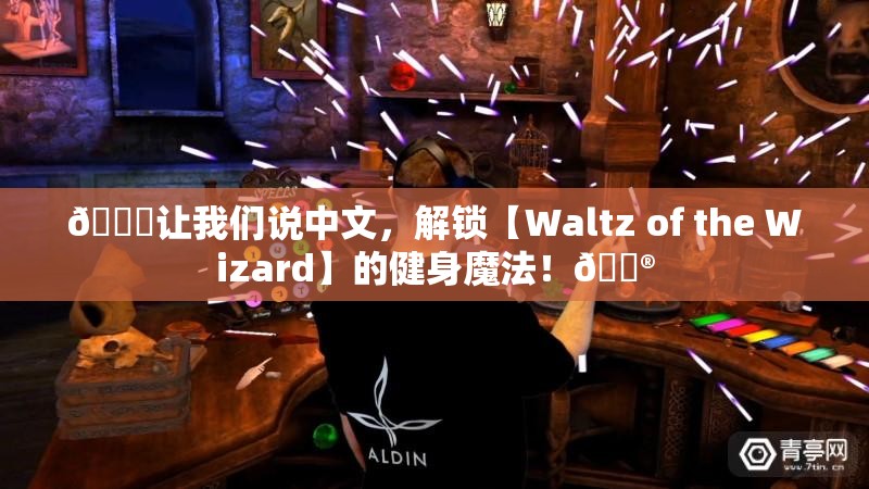 让我们说中文【Waltz of the Wizard】