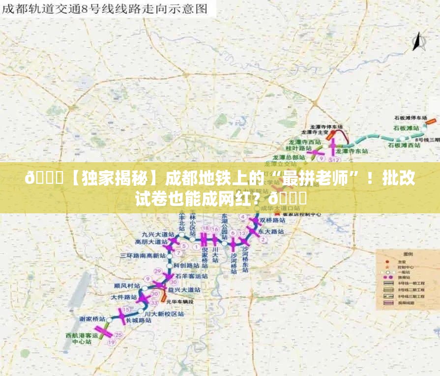 成都一老师在地铁上批改试卷