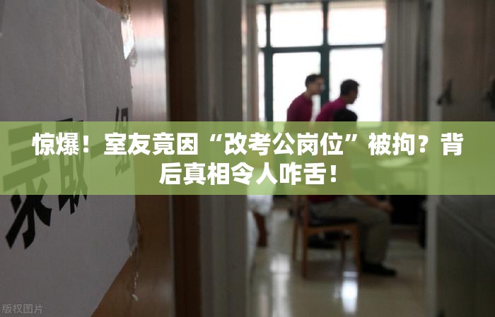 惊爆！室友竟因“改考公岗位”被拘？背后真相令人咋舌！