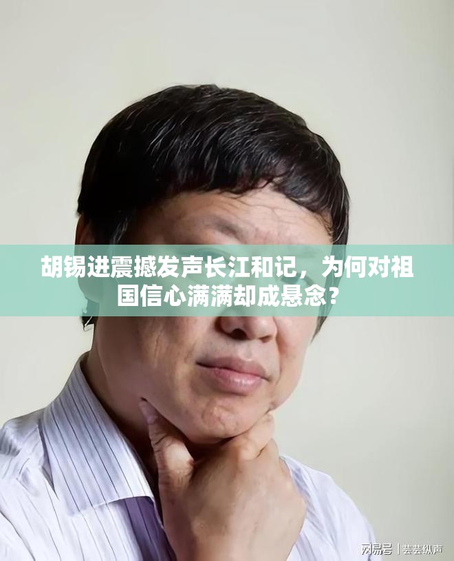 胡锡进：长江和记应当对祖国有信心