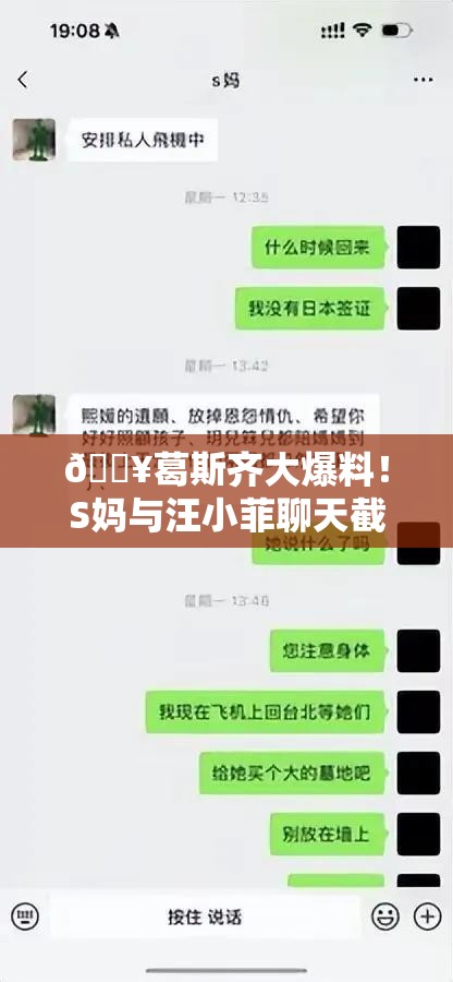 🔥葛斯齐大爆料！S妈与汪小菲聊天截图惊现网络，真相究竟如何？🤔